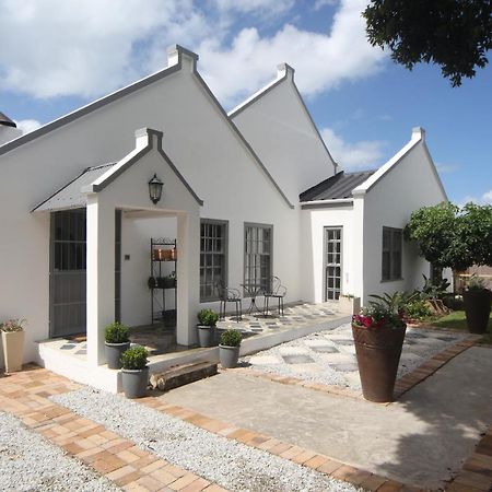 The Lily House Hotel Hermanus Exterior foto